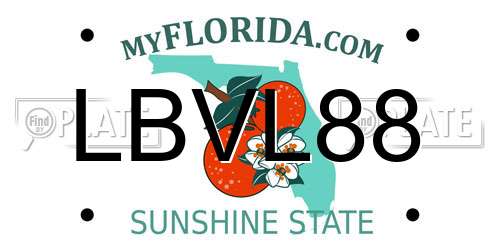LBVL88 Florida License Plate