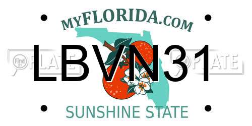 LBVN31 Florida License Plate