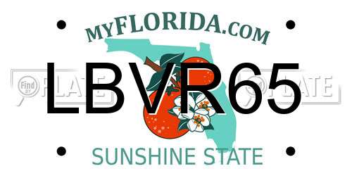 LBVR65 Florida License Plate