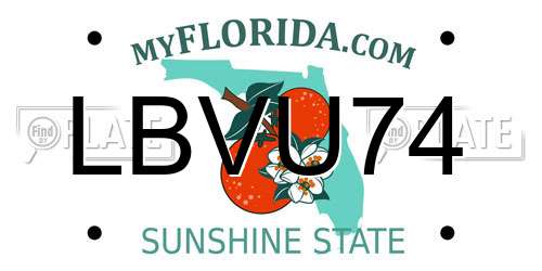 LBVU74 Florida License Plate