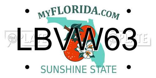 LBVW63 Florida License Plate