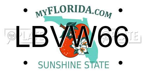 LBVW66 Florida License Plate