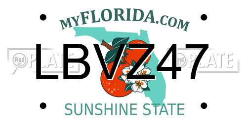 LBVZ47 Florida License Plate
