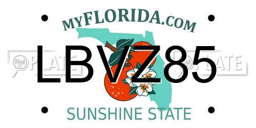 LBVZ85 Florida License Plate