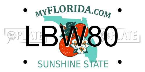 LBW80 Florida License Plate