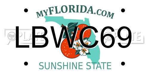 LBWC69 Florida License Plate