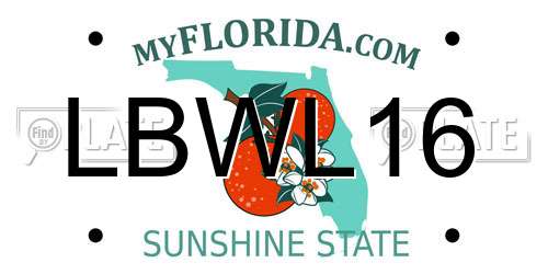 LBWL16 Florida License Plate