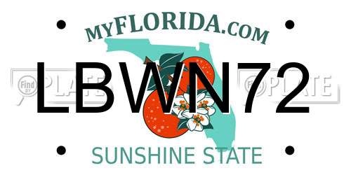 LBWN72 Florida License Plate