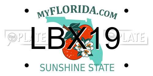 LBX19 Florida License Plate