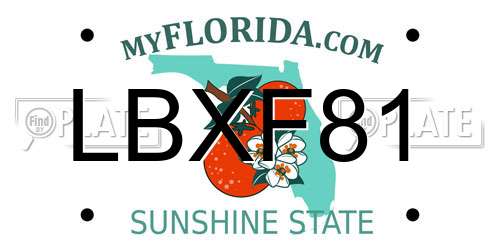 LBXF81 Florida License Plate