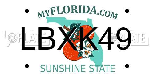 LBXK49 Florida License Plate