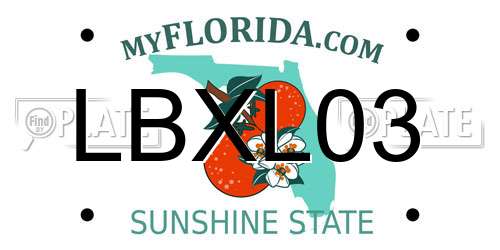 LBXL03 Florida License Plate
