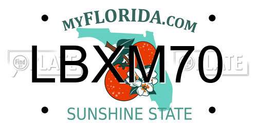 LBXM70 Florida License Plate
