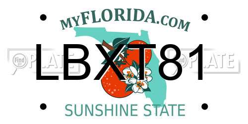 LBXT81 Florida License Plate