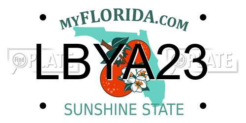 LBYA23 Florida License Plate
