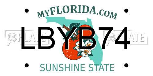 LBYB74 Florida License Plate