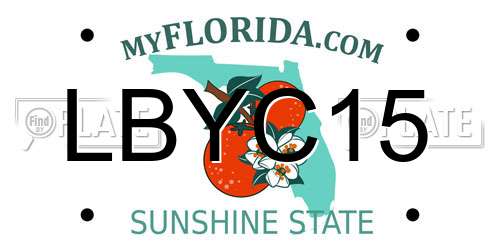 LBYC15 Florida License Plate