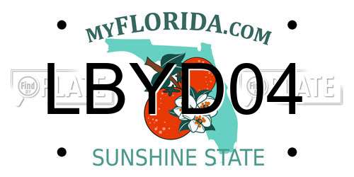 LBYD04 Florida License Plate