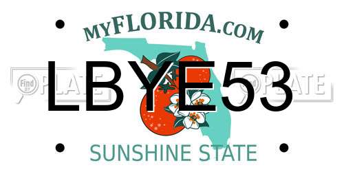 LBYE53 Florida License Plate