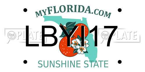 LBYI17 Florida License Plate