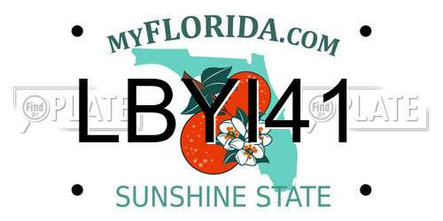LBYI41 Florida License Plate