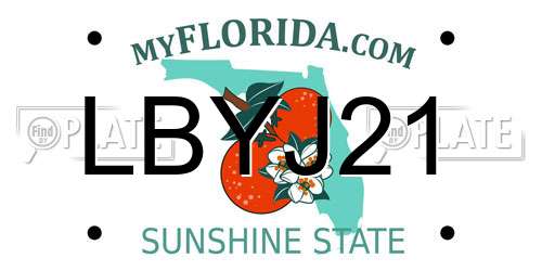LBYJ21 Florida License Plate
