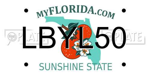 LBYL50 Florida License Plate