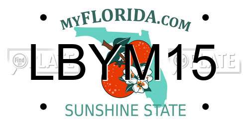 LBYM15 Florida License Plate
