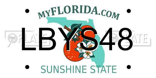 LBYS48 Florida License Plate