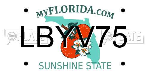 LBYV75 Florida License Plate
