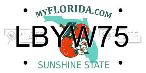 LBYW75 Florida License Plate