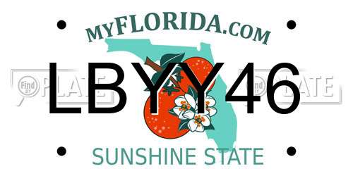 LBYY46 Florida License Plate