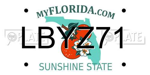LBYZ71 Florida License Plate