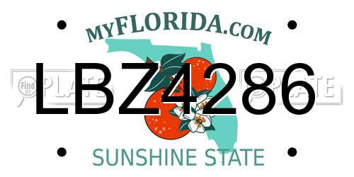 LBZ4286 Florida License Plate