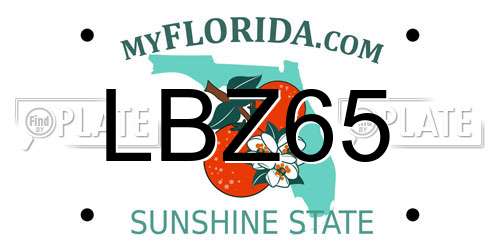 LBZ65 Florida License Plate