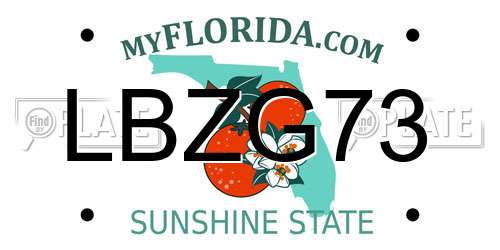 LBZG73 Florida License Plate