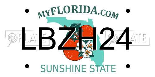 LBZH24 Florida License Plate