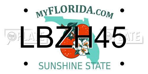 LBZH45 Florida License Plate