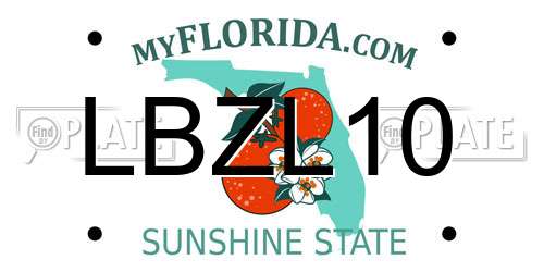 LBZL10 Florida License Plate