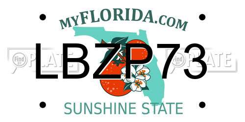 LBZP73 Florida License Plate