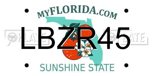 LBZR45 Florida License Plate