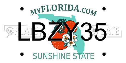 LBZY35 Florida License Plate