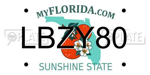 LBZY80 Florida License Plate