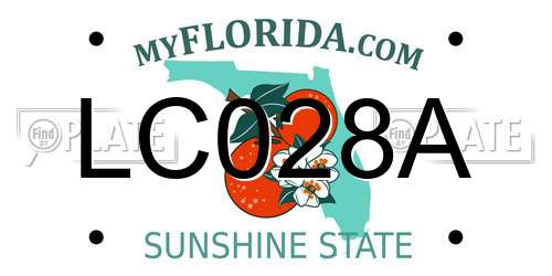 LC028A Florida License Plate