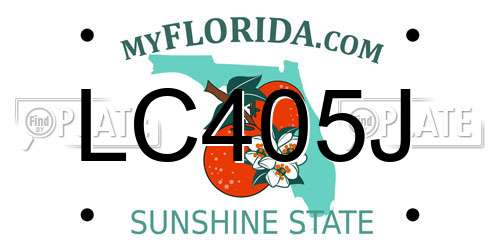 LC405J Florida License Plate