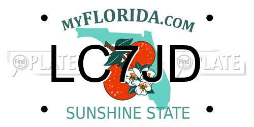 LC7JD Florida License Plate