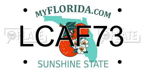 LCAF73 Florida License Plate