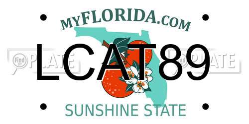 LCAT89 Florida License Plate