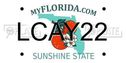 LCAY22 Florida License Plate