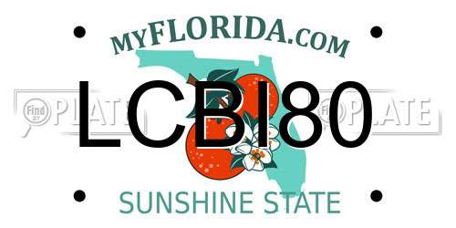 LCBI80 Florida License Plate